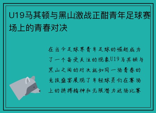 U19马其顿与黑山激战正酣青年足球赛场上的青春对决