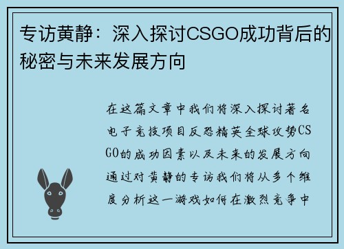 专访黄静：深入探讨CSGO成功背后的秘密与未来发展方向
