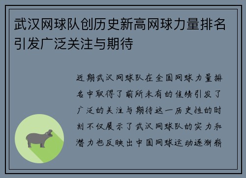 武汉网球队创历史新高网球力量排名引发广泛关注与期待