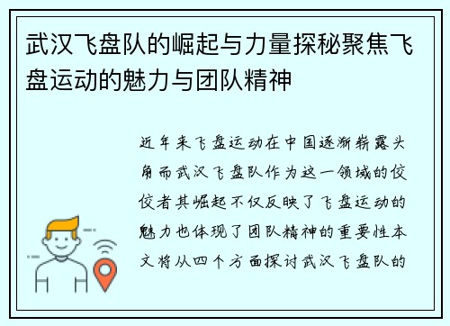 武汉飞盘队的崛起与力量探秘聚焦飞盘运动的魅力与团队精神